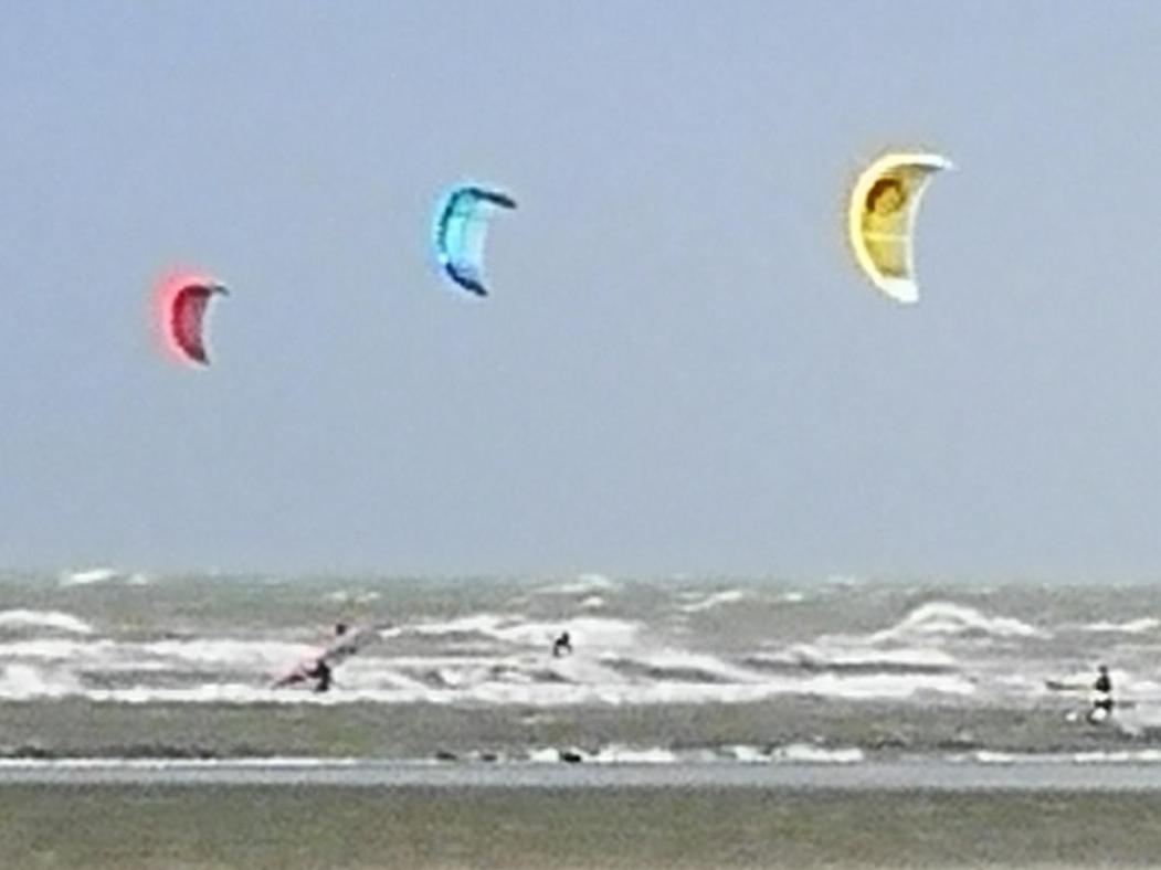 Zeester En Koffie. Oostduinkerke-Bad Exterior photo